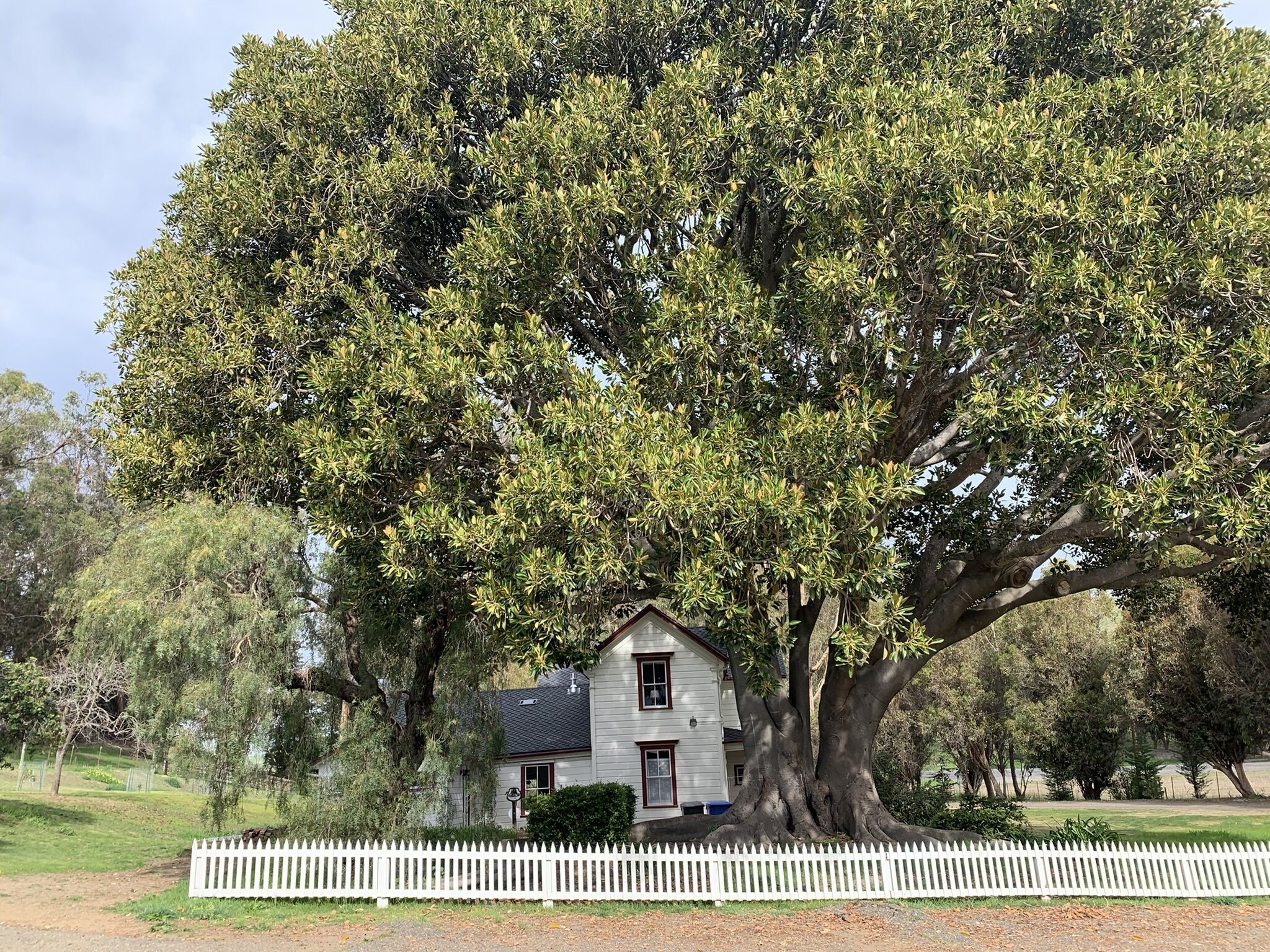 Original farm house now a residence for the ranch owners