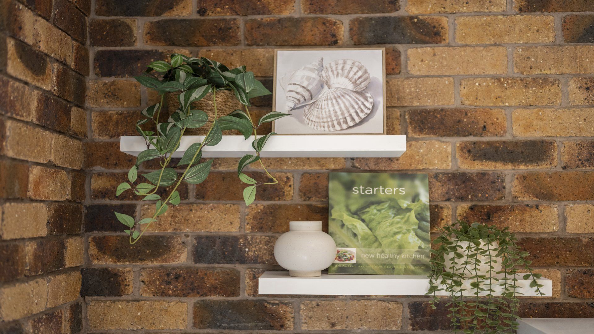 A brick wall with two white shelves; one shelf holds a potted plant and a framed seashell, the other shelf has a white vase and a book titled 'starters'.