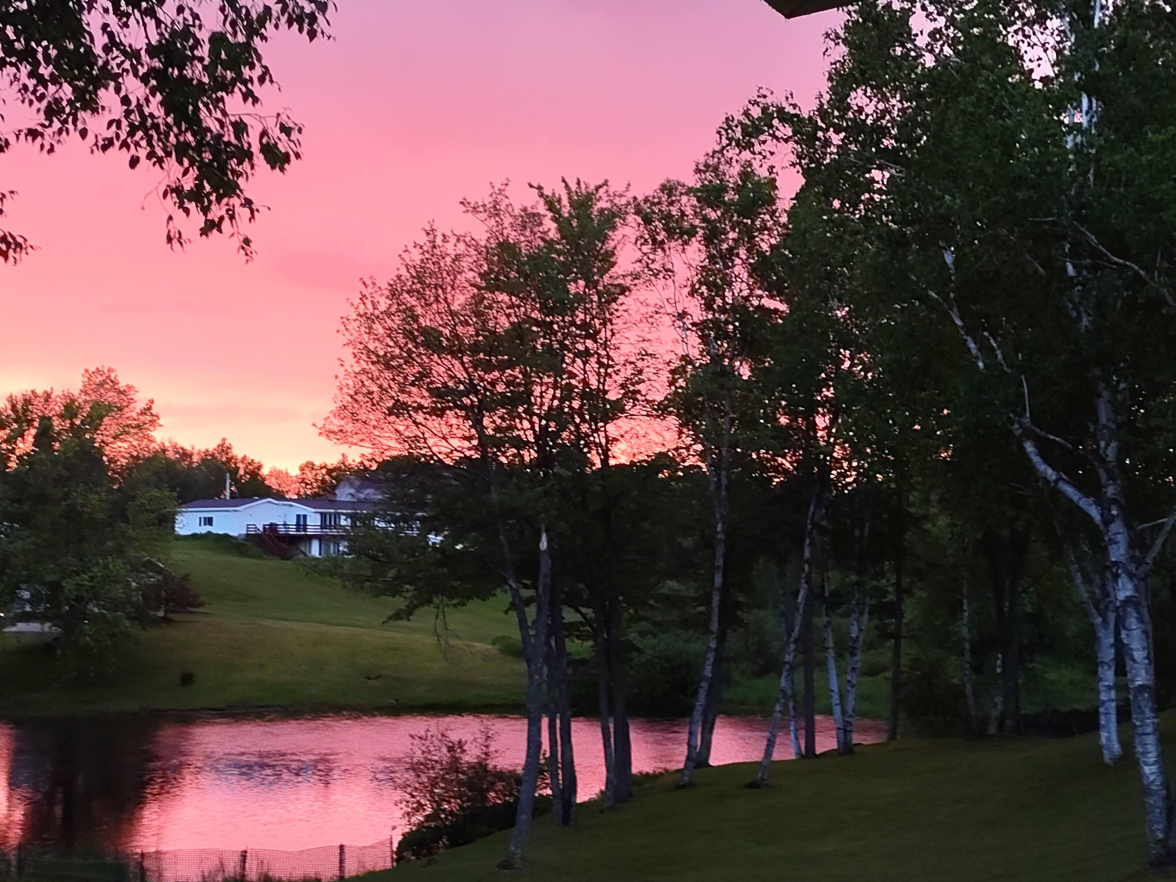 A house by a lake with trees in the foreground and a pink sky in the background.