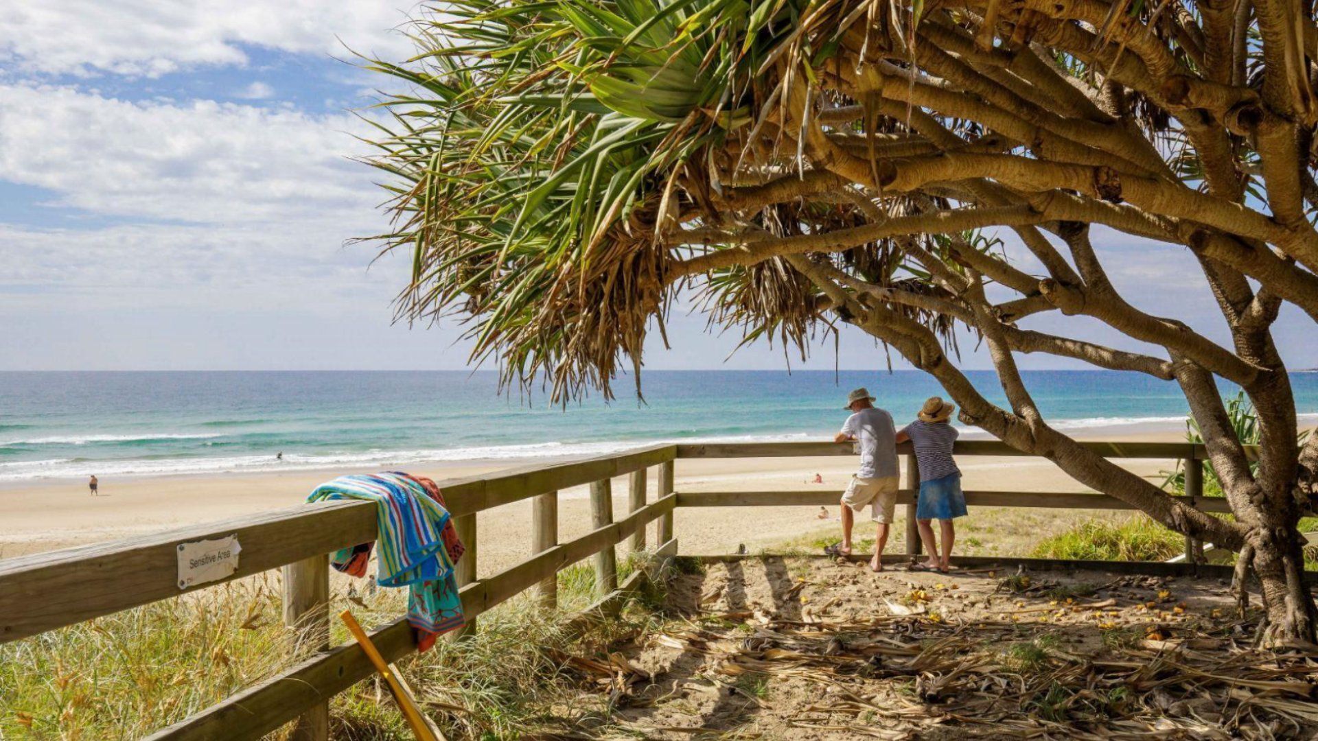 A beach with a wooden fence, a palm tree, and a sign indicating a sensitive area.