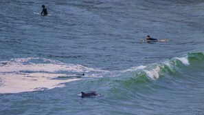 Miscellaneous - Craigmore On The Beach Unit 18 - Lifestyle Yamba (YAMBA)