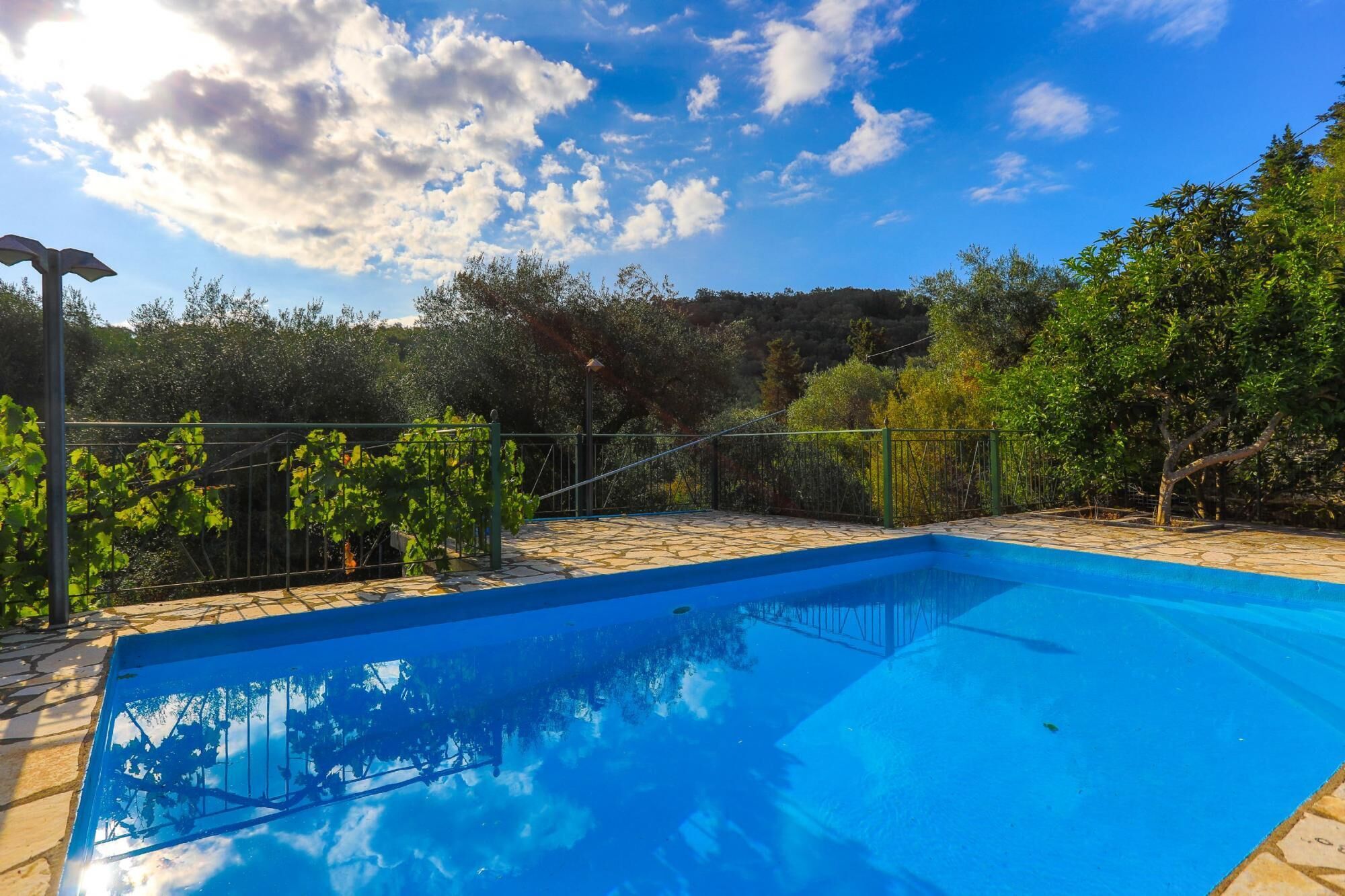 Une piscine d’un bleu éclatant, entourée d’une terrasse en pierre, avec une clôture en métal et une végétation luxuriante en arrière-plan.