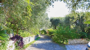 A narrow cobblestone path flanked by stone walls and lush greenery. - Villa Natasha in Nisaki (Corfu)