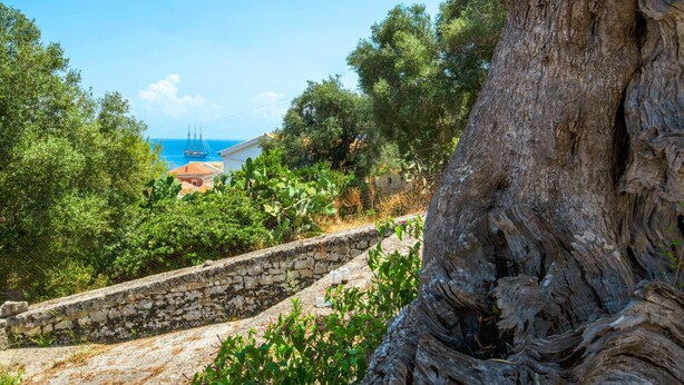 A stone pathway leading to a coastal area with a view of the sea and a building with a red roof. - Sterna Studio in Gaios (Paxos)