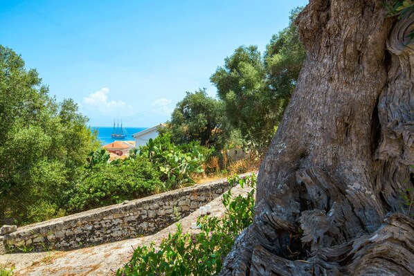 Apartment | 1 bedroom - Sterna Studio in Gaios (Paxos)