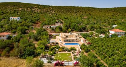 Casa do Pomar by Portucasa