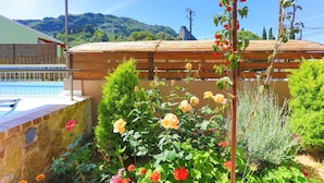 Ein Garten mit Rosen, einem Pool und einer hölzernen Pergola.
