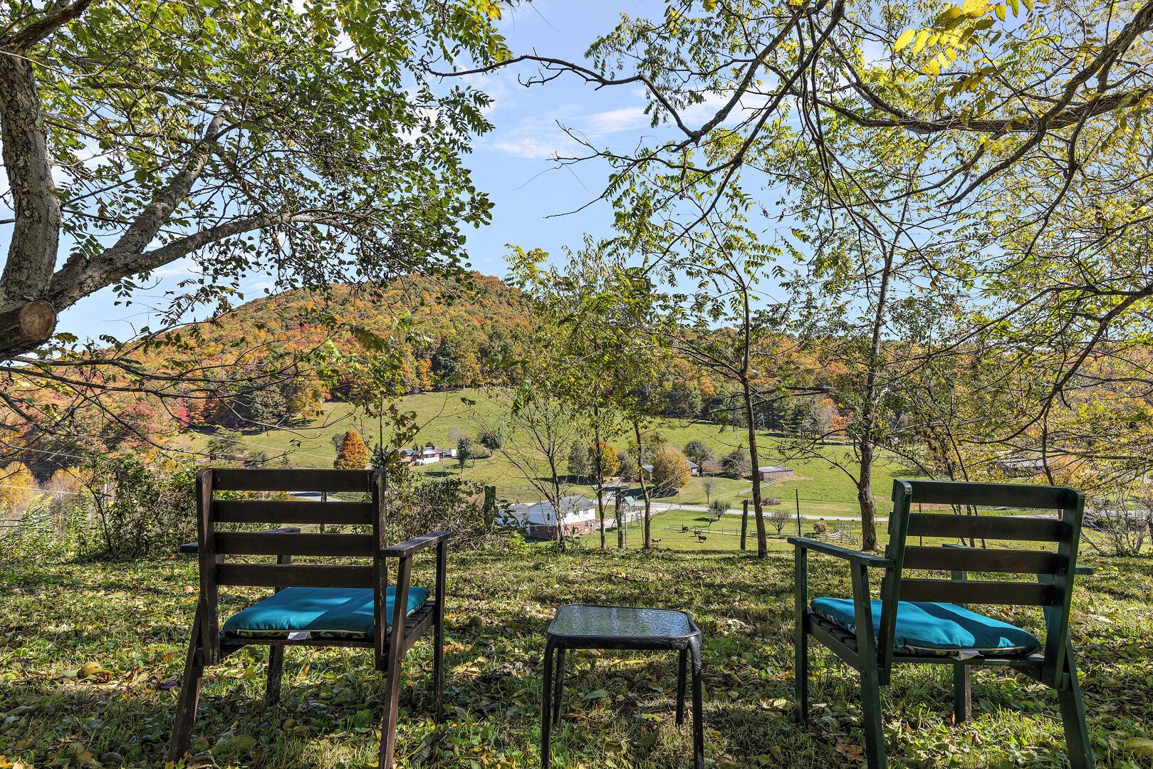 Two wooden chairs with blue cushions and a small table in a grassy outdoor area with trees and a view of a hilly landscape in the background.