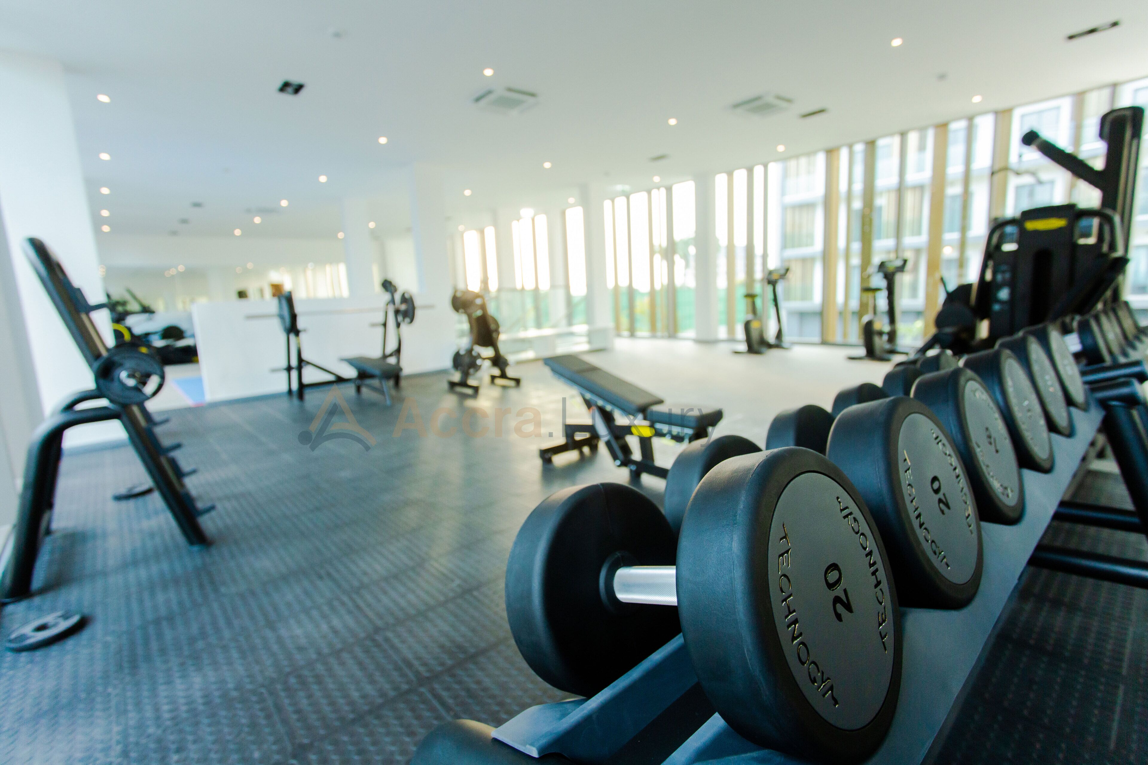 Une salle de sport équipée de matériel de musculation, d’appareils de cardio et d’un banc.
