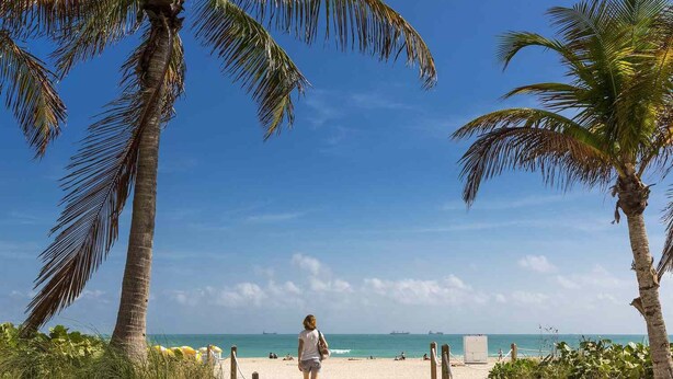 A sandy beach with palm trees, a clear blue sky, and the ocean in the background.