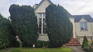 A house with a symmetrical garden, a central window, and a staircase leading to the entrance.