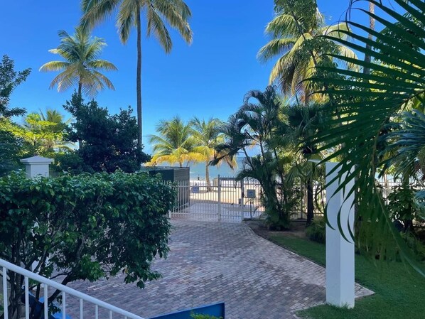 A paved pathway leading to a gated entrance surrounded by lush greenery and palm trees.