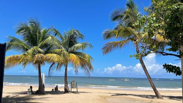 Ein Strand mit Palmen, einem Fliesenweg und dem Meer im Hintergrund.