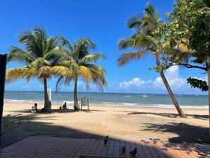 A beach with palm trees, a tiled walkway, and the ocean in the background.