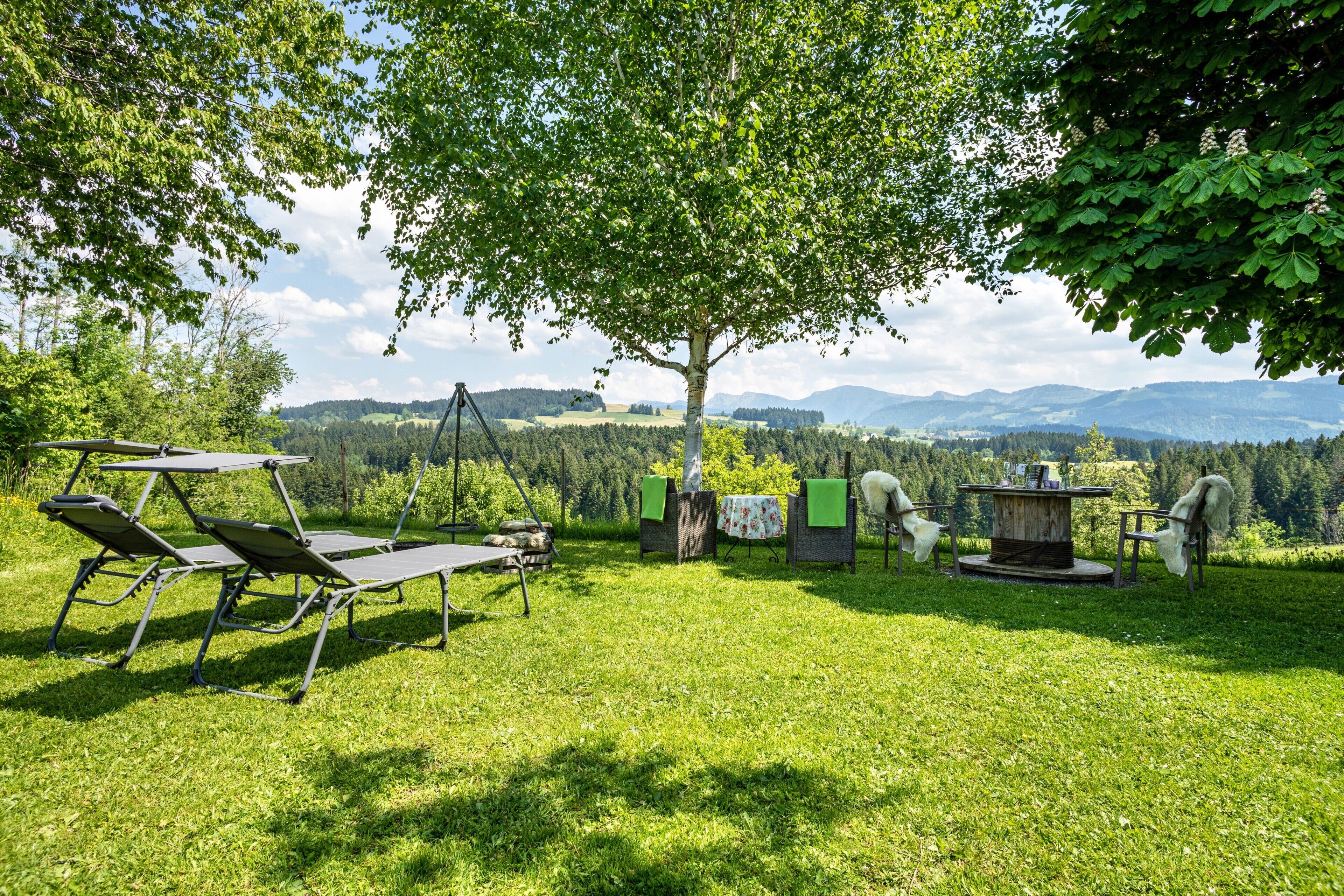 Un espacio al aire libre con césped, una mesa, sillas, un árbol y vistas a colinas distantes.
