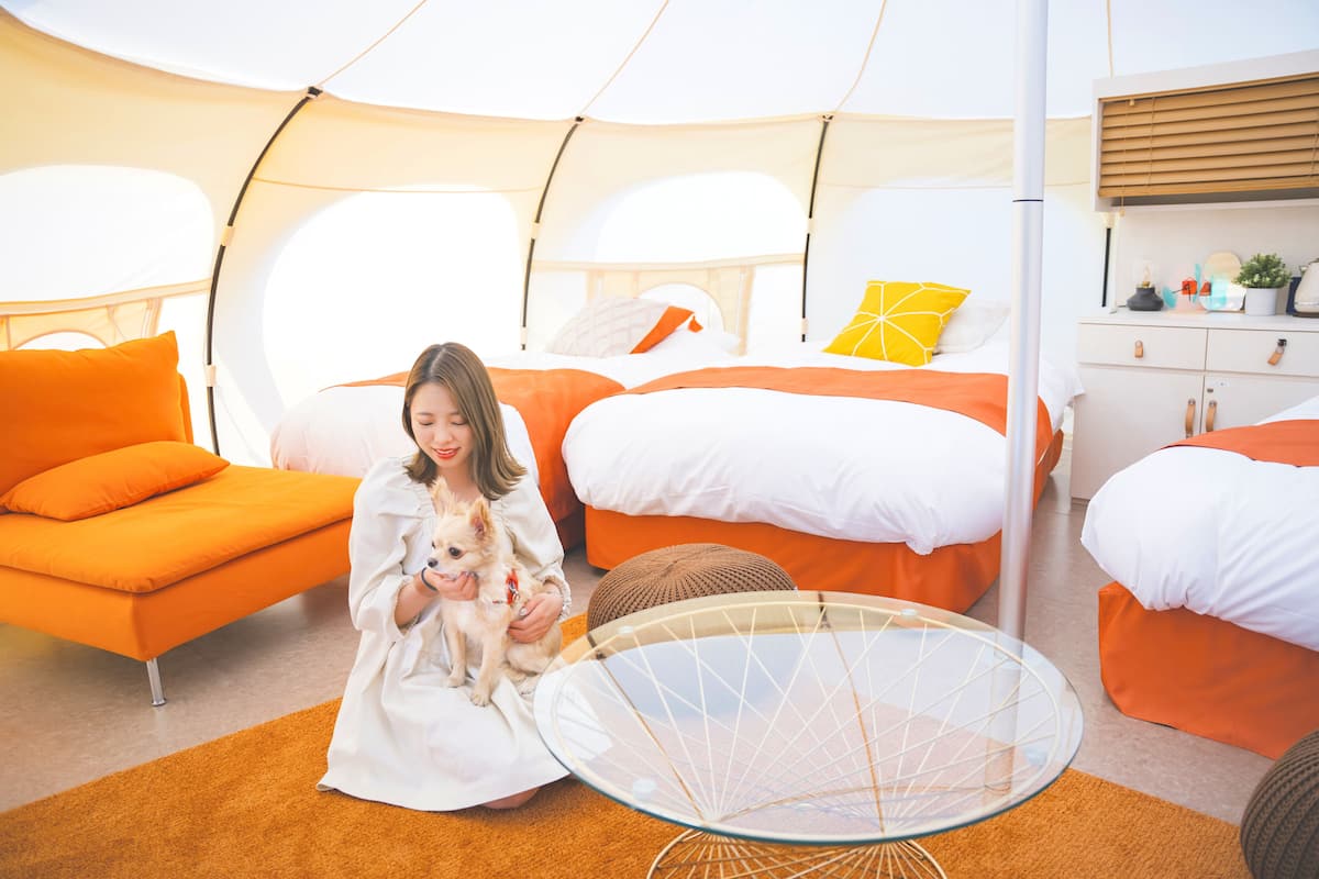 컴포트 쿼드룸, 침실 4개, 금연 (Dog Suite Tent, Pets allowed) | 침대 시트