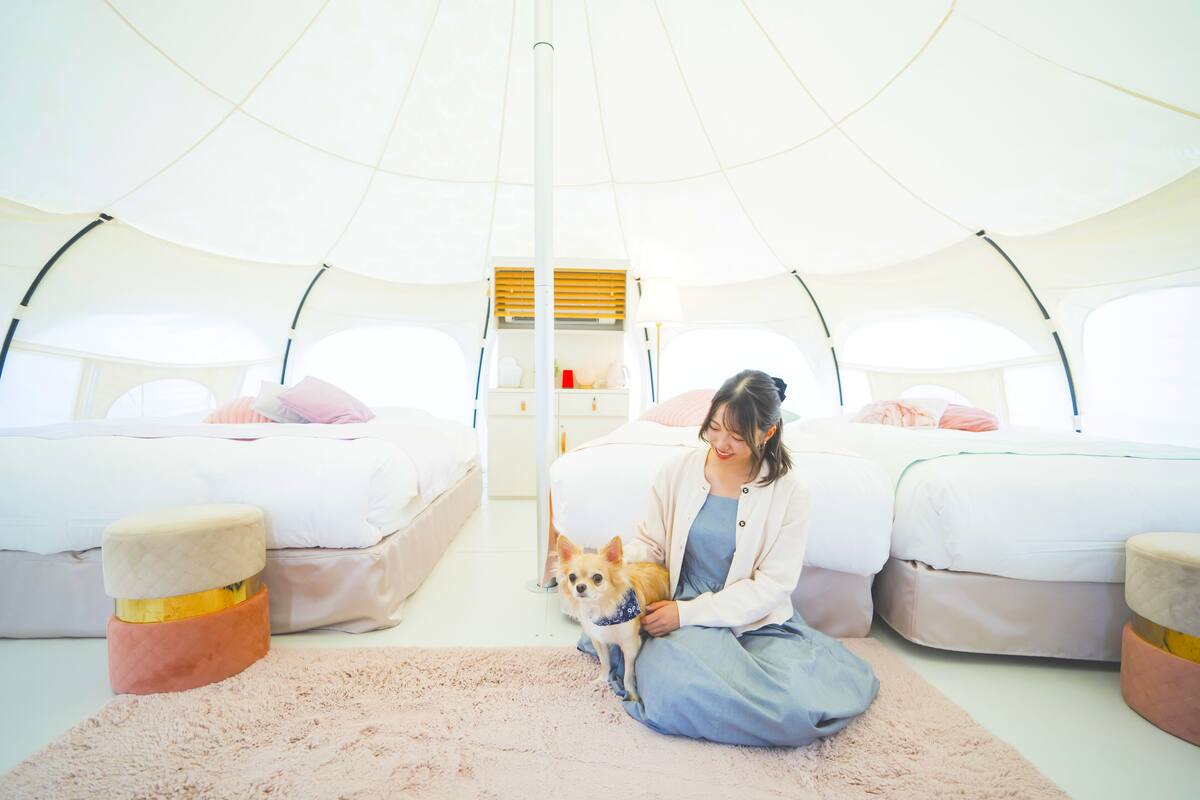 컴포트 쿼드룸, 침실 3개, 금연 (Large Dog Suite Tent, Pets allowed) | 침대 시트