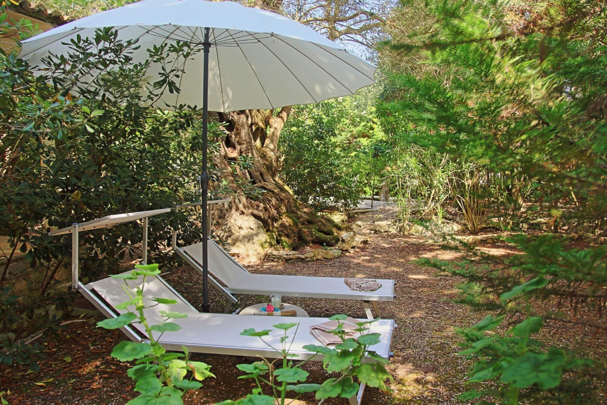 A secluded outdoor seating area with two lounge chairs and a large umbrella, surrounded by dense foliage and a tree trunk.