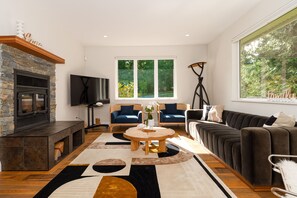 Smart TV, fireplace, books