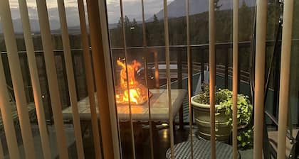 Soar with the Eagles and hibernate with the Bears.