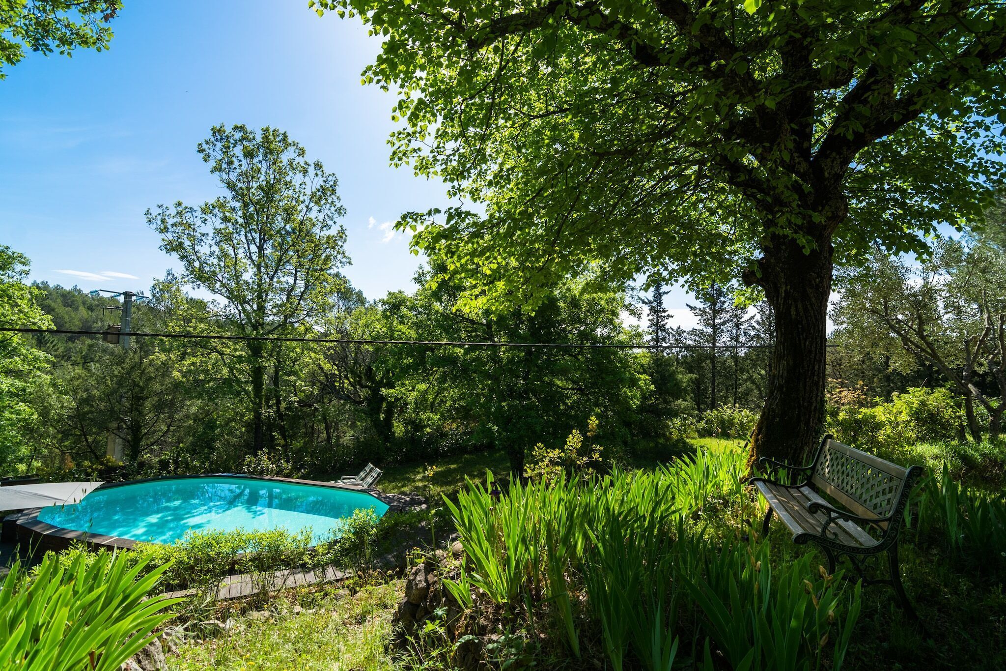 Una piscina rodeada de abundante vegetación y un banco.
