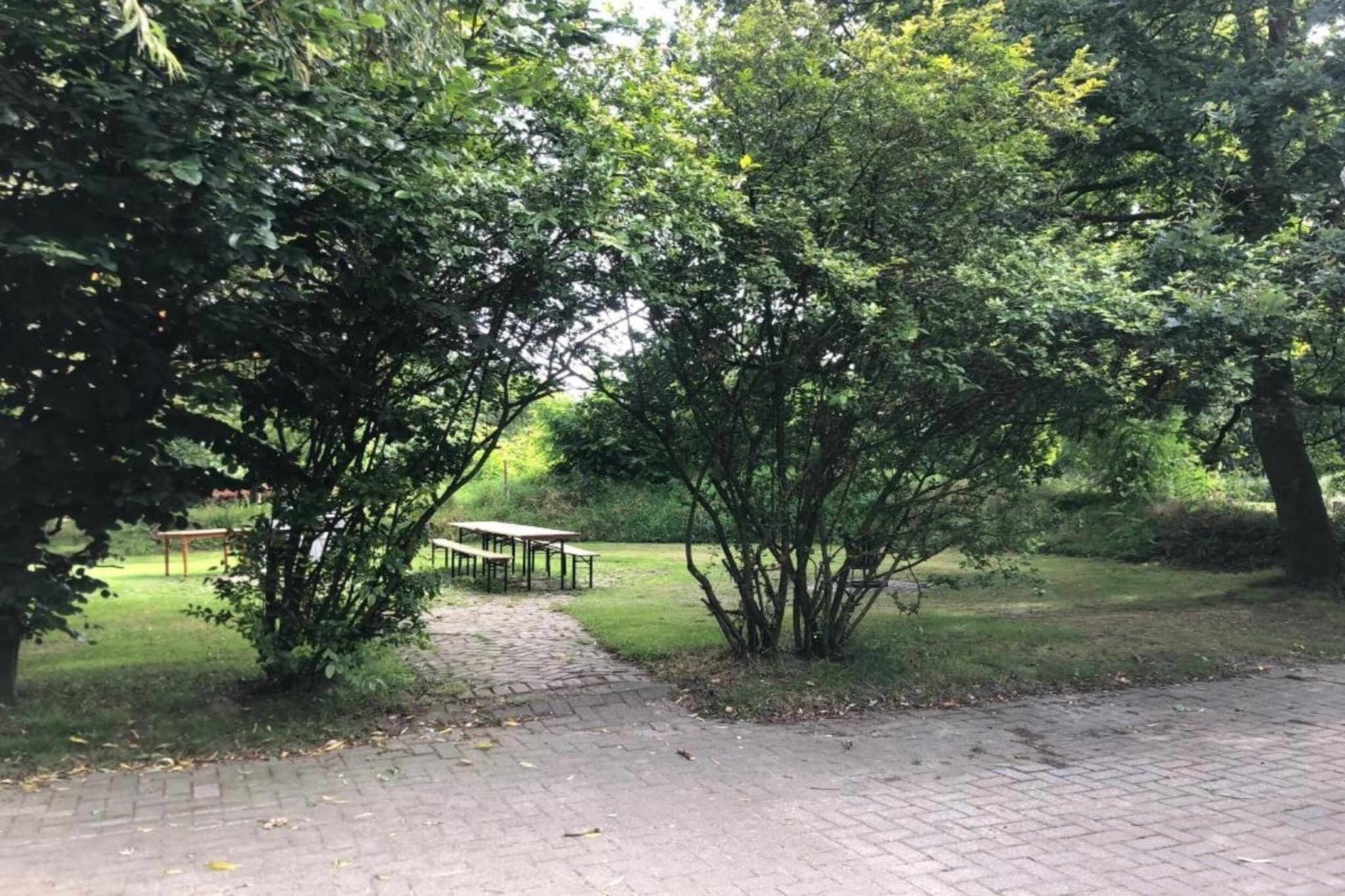 En asfalterad gångväg som leder genom en park med träd och ett picknickbord i bakgrunden.