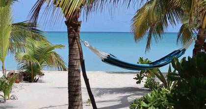 Clouds Beach Retreat Laamu