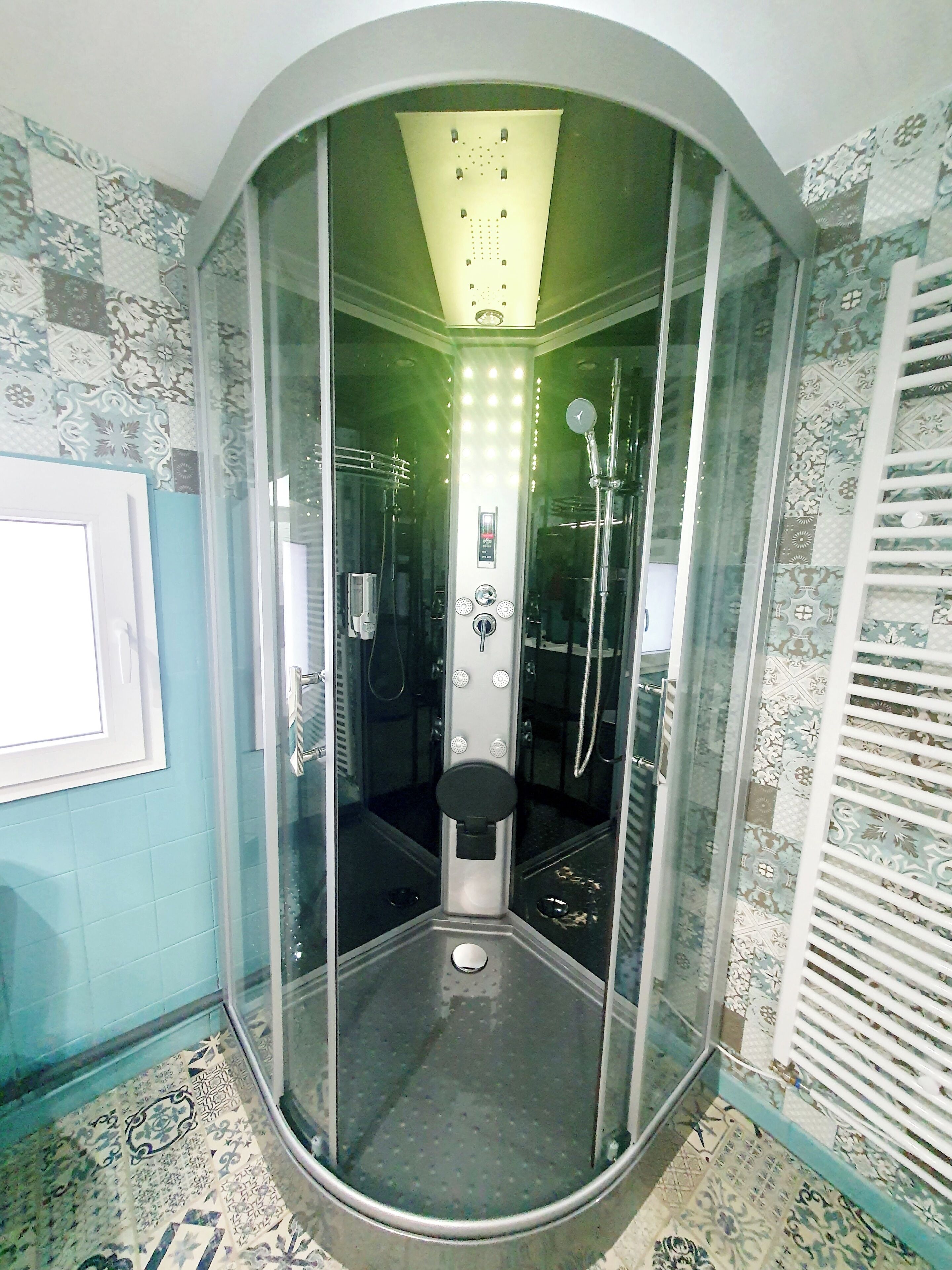 Shower, hair dryer, soap, toilet paper