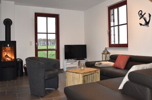 Televisión, chimenea, reproductor de DVD y libros 