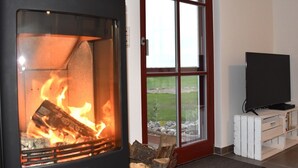 A modern living room with a wood-burning stove, a television on a stand, and a view of the outdoors through a glass door. - Modern spacious house with 3 bedrooms, garden and barbecue. Beach only 700m! (Zierow)