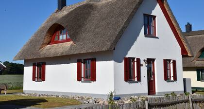 Modern spacious house with 3 bedrooms, garden and barbecue. Beach only 700m!