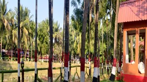 Free WiFi, bed sheets - Raktokorobi Karugram - Escape to Green Stay with Soul (Bolpur)