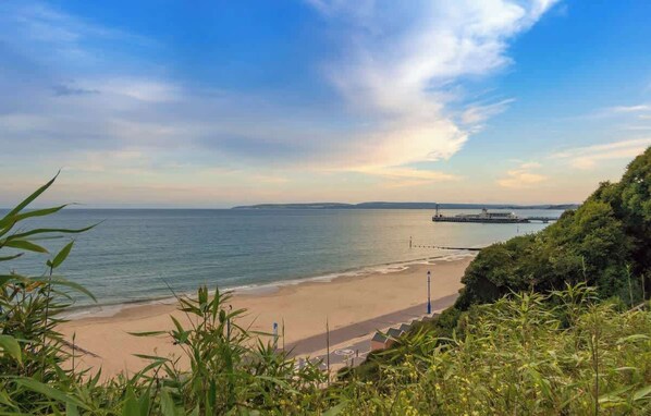 A coastal beach with a pier, greenery, and a clear sky.