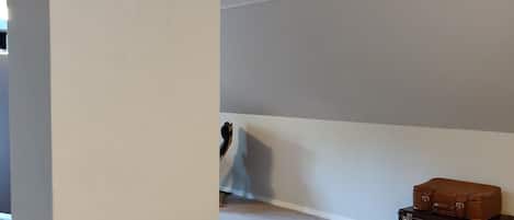 Una habitación con un banco de madera, un tapete y dos maletas apoyadas en la pared.