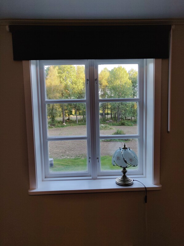 A window with a view of a forest and a road.