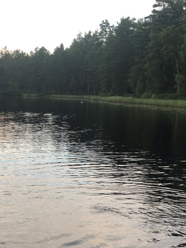 A calm lake with dense forest in the background. - Beautiful vacation home in the countryside (Sävsjö)