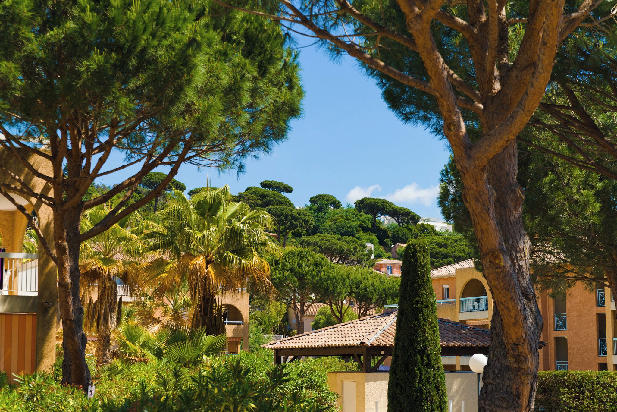 A lush garden with a variety of trees and a building with a tiled roof.