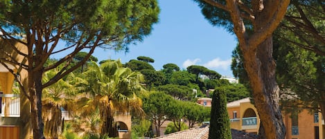 A lush garden with a variety of trees and a building with a tiled roof.