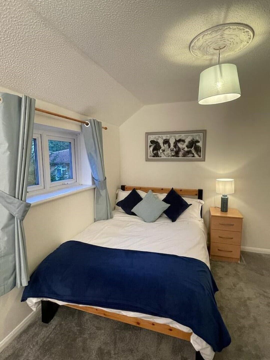 A bedroom with a bed, a nightstand, a window with curtains, a ceiling light fixture, and a wall-mounted picture.