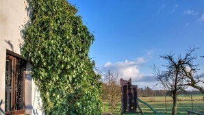 Een gebouw, deels begroeid met klimop, een metalen sculptuur en een grasveld met een boom.
