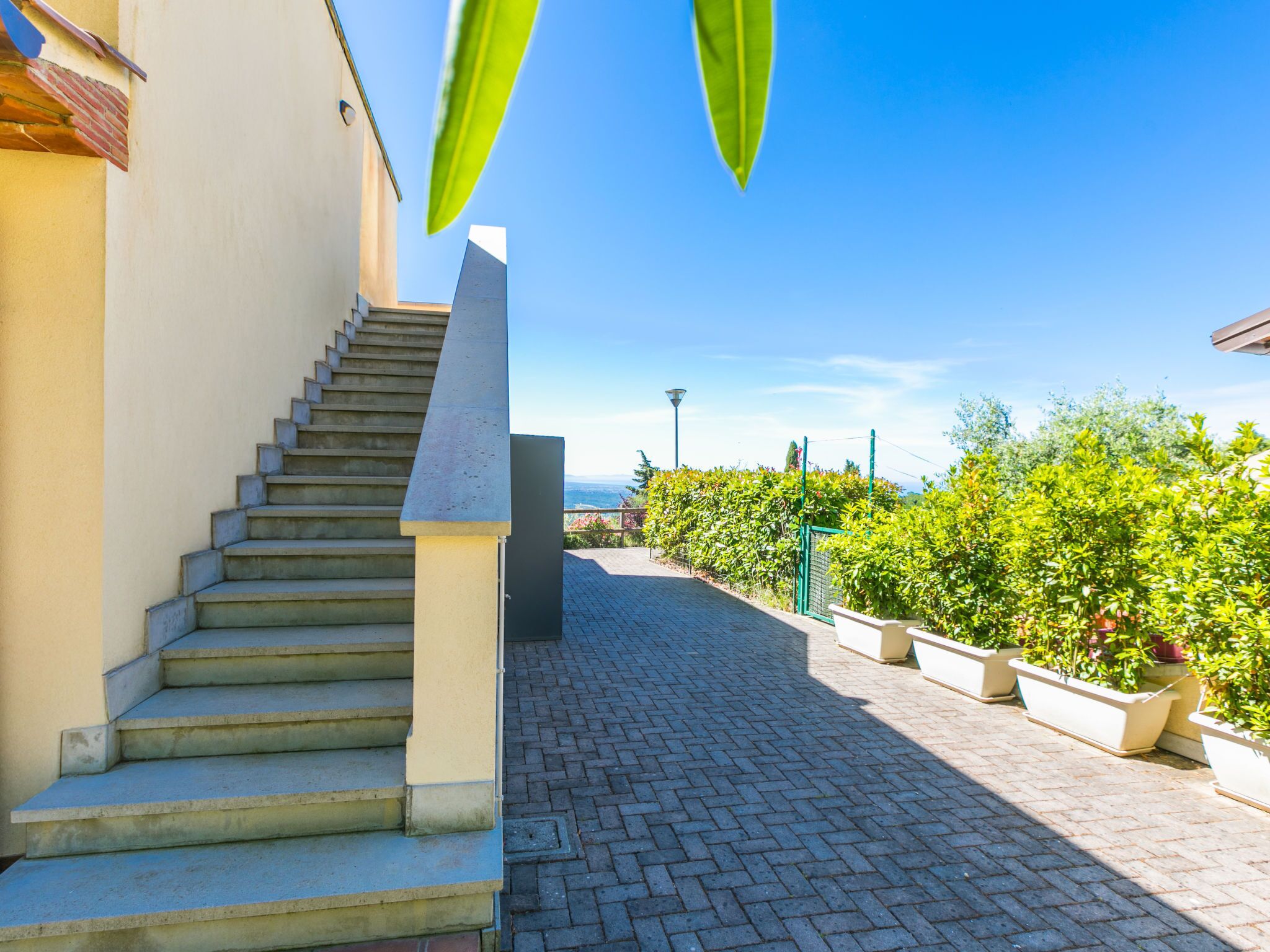 Parco della struttura