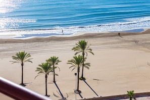 A beach with palm trees and a clear view of the ocean.