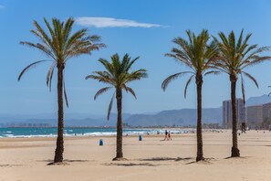 Une plage bordée de palmiers, un ciel dégagé et une vue lointaine sur la ville.