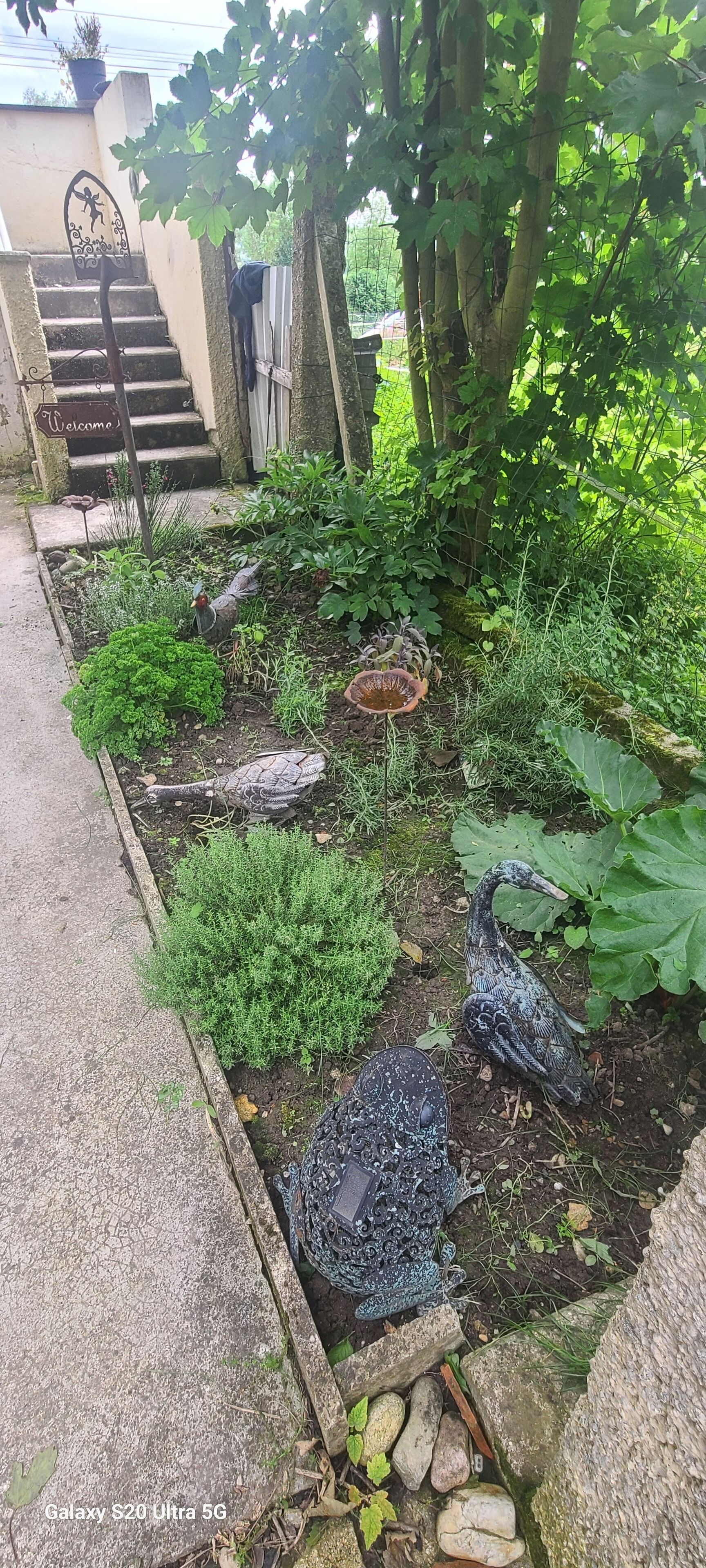 Terrein van de accommodatie