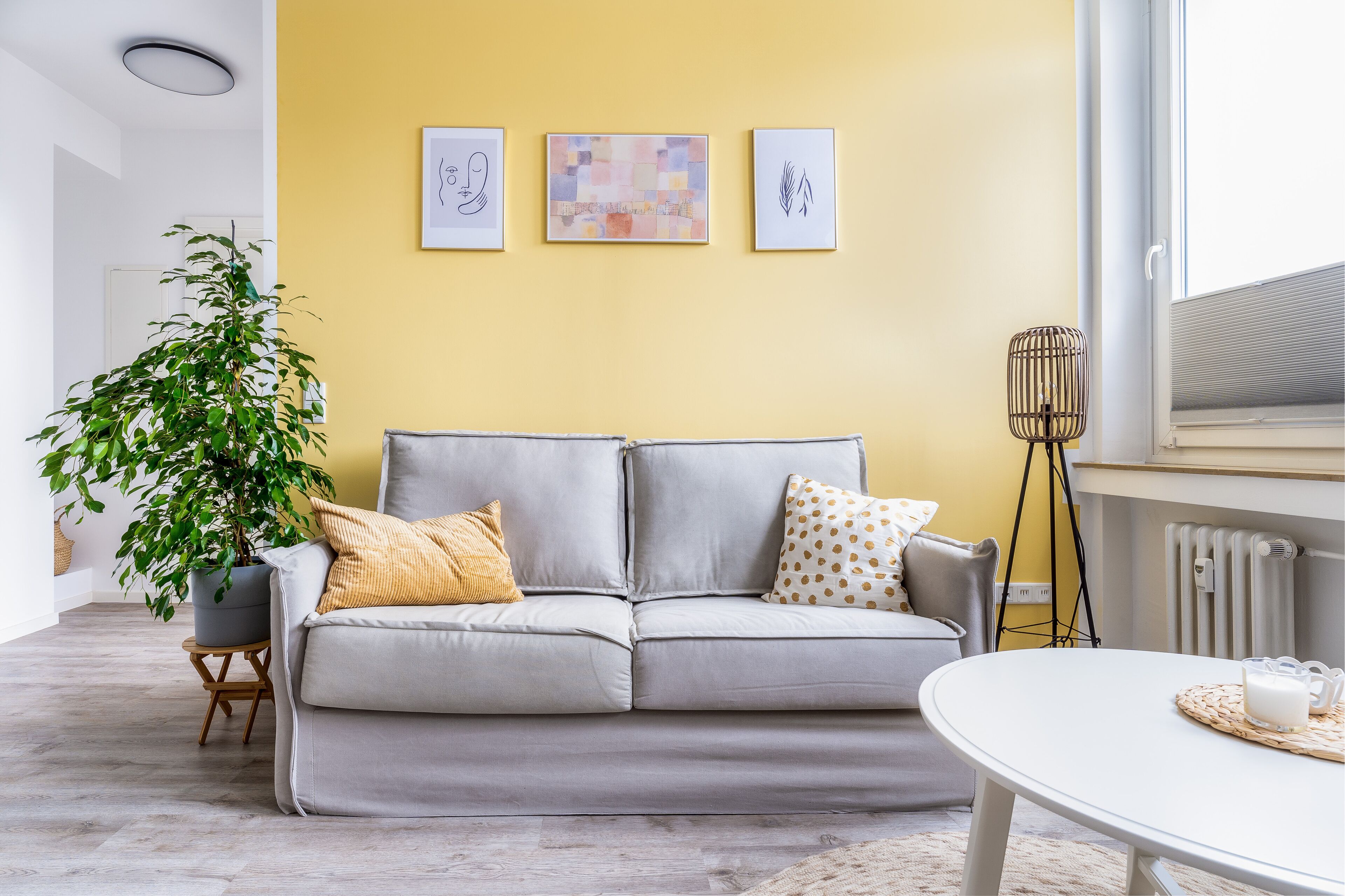 A living room with a grey sofa, a potted plant, and a table with a tray.