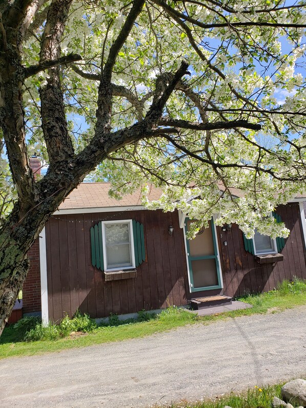 Front of property - The Cottages On Mirror Lake (Whitefield)