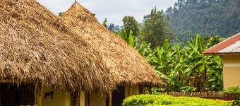 Budget Lodge with Hot shower & camping - 20 Minutes from Gorilla Trekking Point
