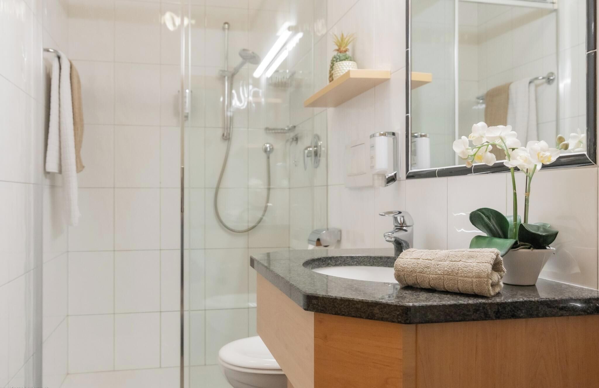 Shower, hair dryer, towels