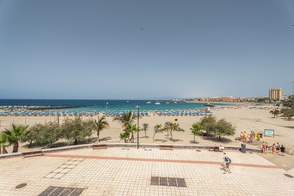 A beach with a tiled walkway, palm trees, and a view of the sea.