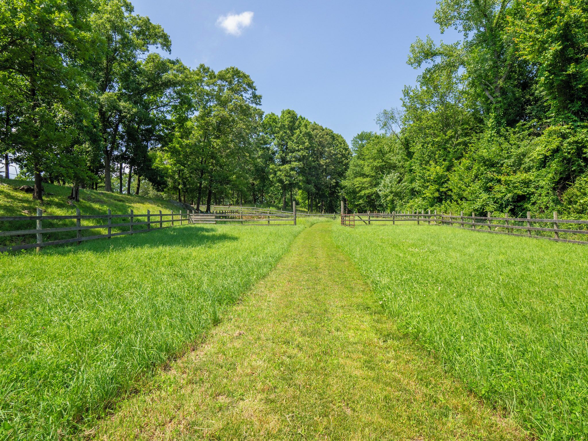 Fields for walking.....